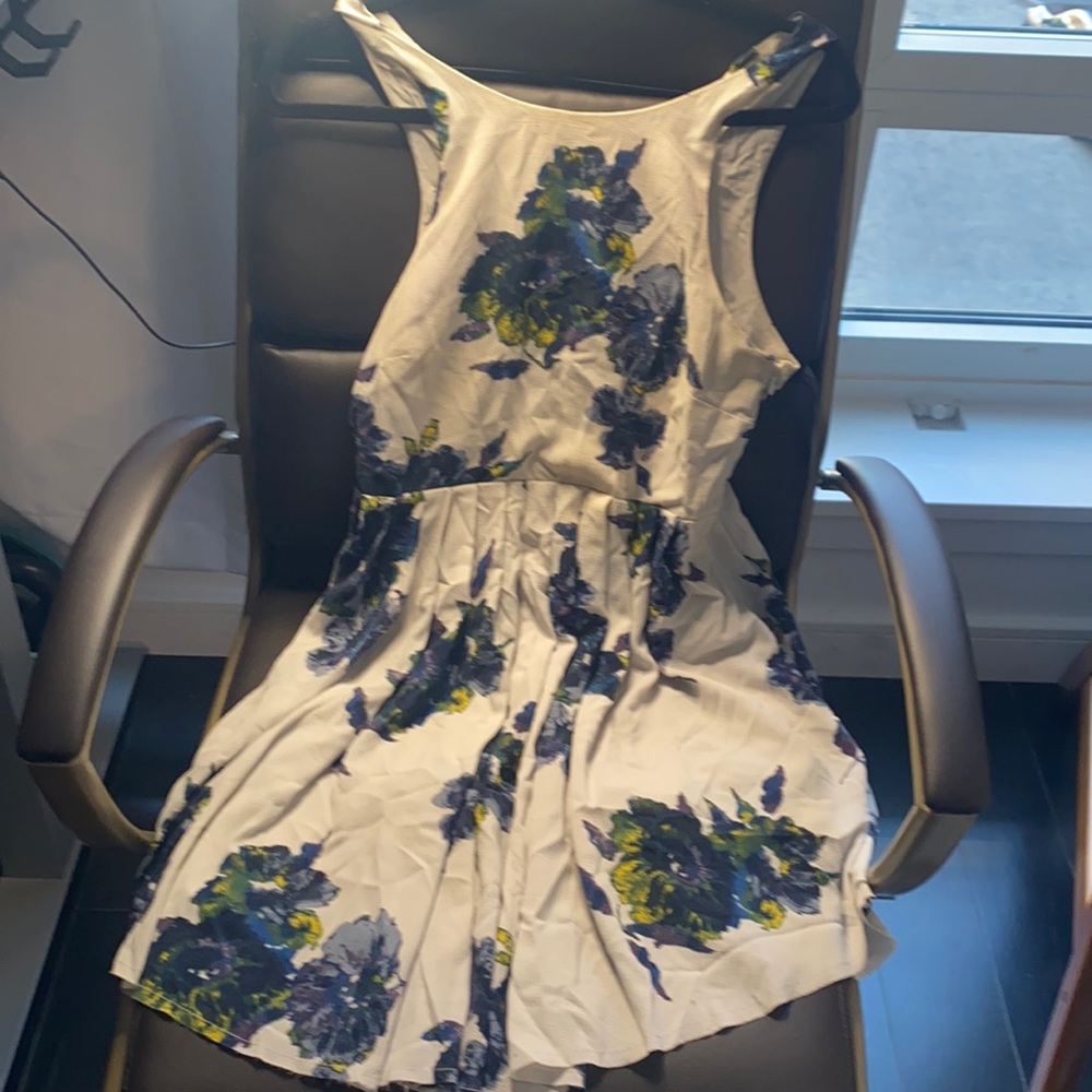 Free people dress